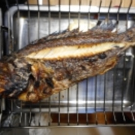 黒ソイの塩焼き おろしポン酢だれ レシピ 作り方 By Mococo05 楽天レシピ 黒ソイの塩焼き おろしポン酢だれ レシピ 作り方 By Mococo05 楽天レシピ